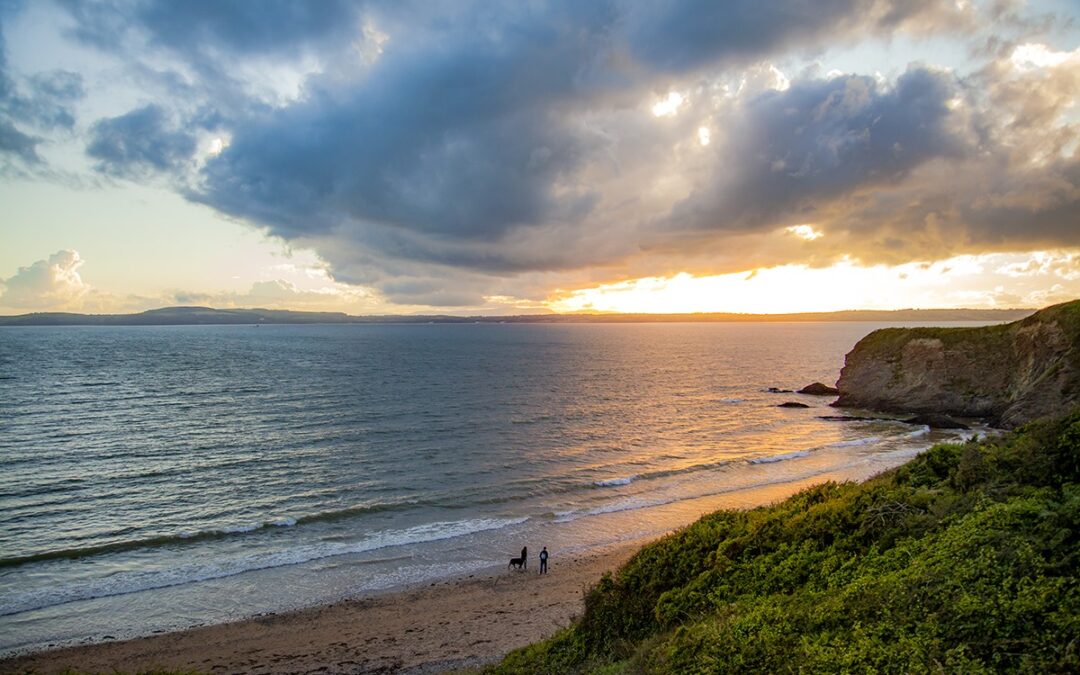 Dollar Bay Beach